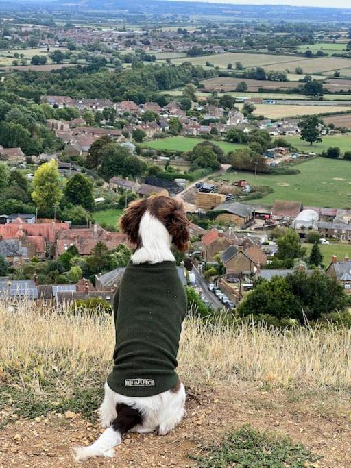 Spaniel Cottage With Views Of Ham Hill, Stoke Sub Hamdon Martock Eksteriør bilde