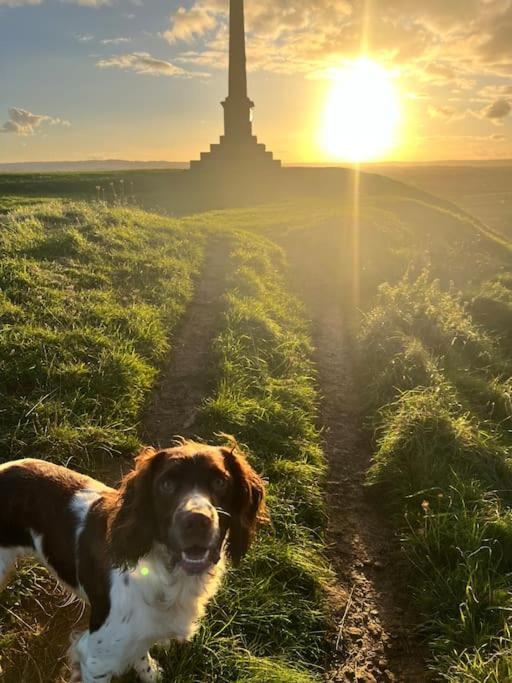 Spaniel Cottage With Views Of Ham Hill, Stoke Sub Hamdon Martock Eksteriør bilde