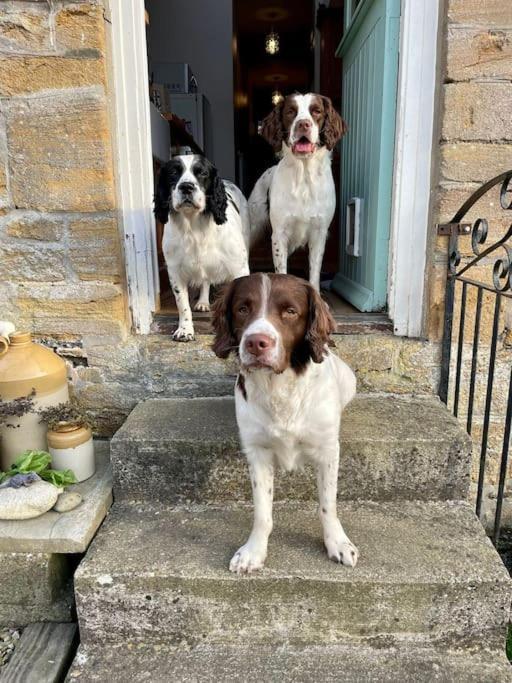 Spaniel Cottage With Views Of Ham Hill, Stoke Sub Hamdon Martock Eksteriør bilde